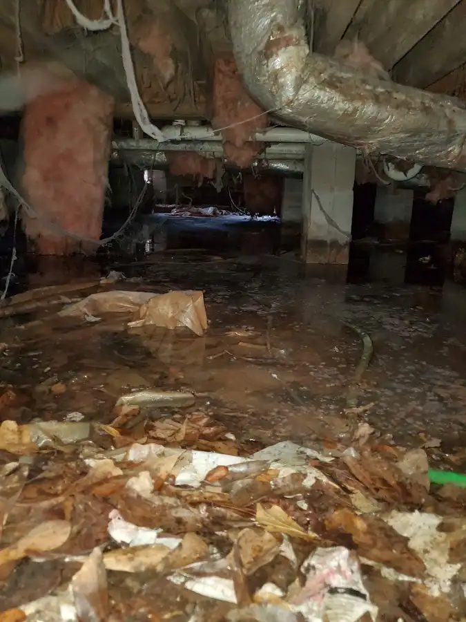 Crawl space flood assessment for Leak Detection & Repair in Fort Mitchell